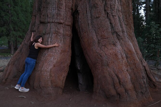 Private Los Angeles to Yosemite Valley Multi Day Tour - Transitioning from Sequoia to Yosemite: Scenic Drive and Key Views