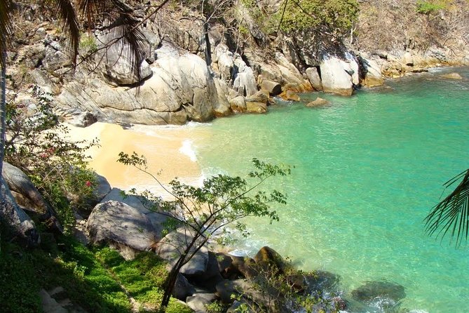 Private Los Arcos Snorkel and Beach Tour from Puerto Vallarta - Exploring Los Arcos Marine Park: Underwater Caves and Reefs
