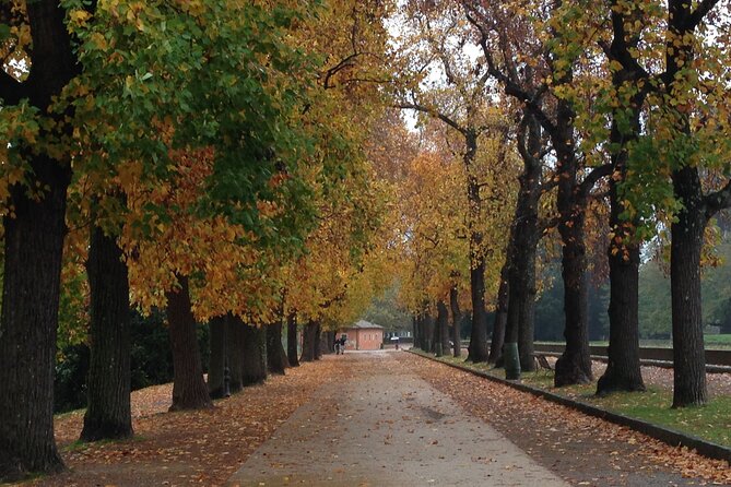 Private Lucca Wine Tour: 2 Wineries with Lunch - The Scenic Drive to Montecarlo’s Wineries