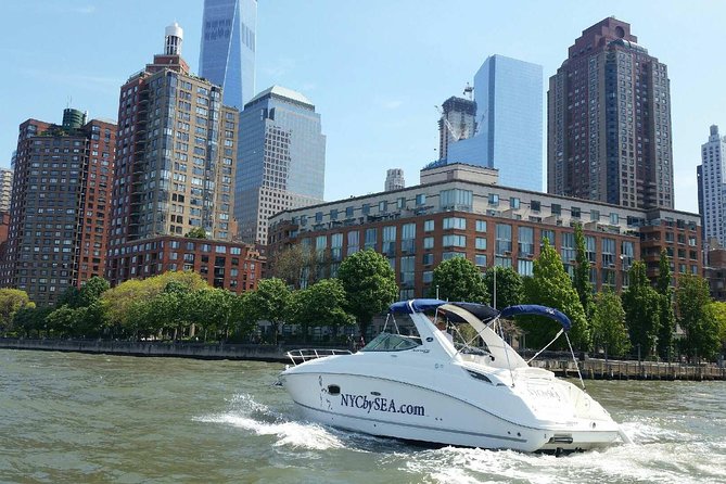 Private Luxury Daytime Boat Tour in New York City - 1 Hour - The Vessel: A 28-Foot Luxury Powerboat Designed for Comfort