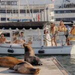 Private Luxury E-Boat Cruise with Wine, Charcuterie & Sea Lions Spotting - Starting Point and Booking Details in Santa Monica