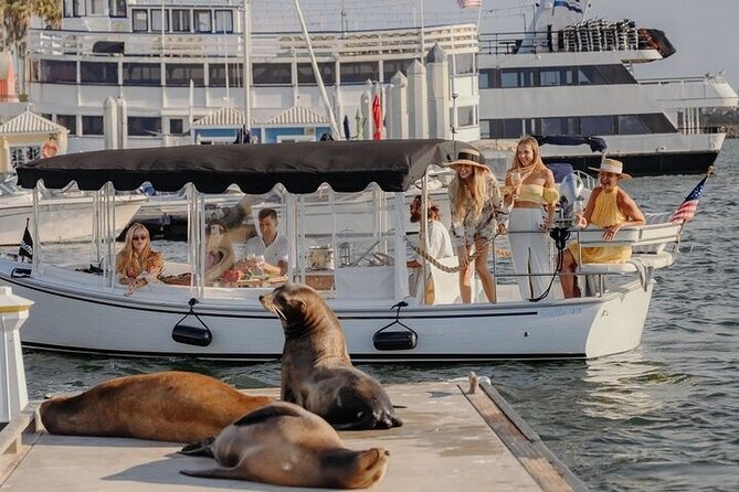Private Luxury E-Boat Cruise with Wine, Charcuterie & Sea Lions Spotting - Starting Point and Booking Details in Santa Monica