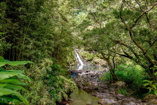 Private Luxury SUV Road to Hana Experience - Exploring Maui’s Iconic Stops on the Road to Hana