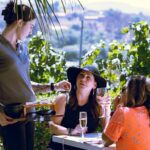 Private Luxury Transportation Experience - Sonoma - Explore Sonoma’s Vineyards in a Private Executive Vehicle