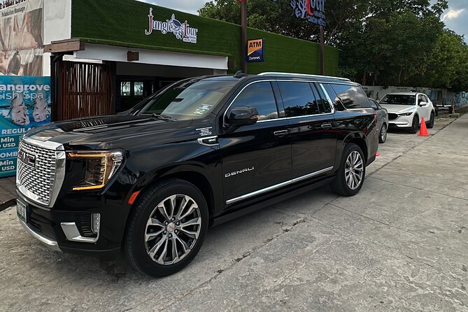 Private Luxury Transportation to and from the Airport - Vehicle Options for Every Group Size and Style