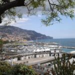 Private Madeira Tour up to 4 people - Exploring the Scenic Regions of Madeira with Personal Attention