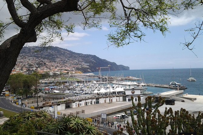 Private Madeira Tour up to 4 people - Exploring the Scenic Regions of Madeira with Personal Attention