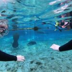 Private Manatee Snorkeling Tour - All-Inclusive Equipment and Snacks for Comfort