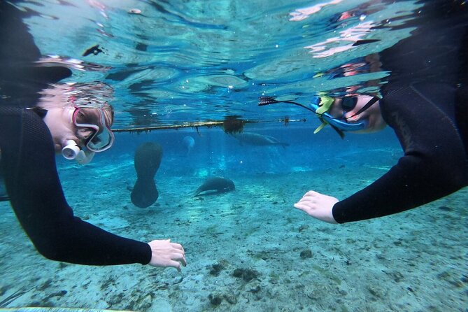 Private Manatee Snorkeling Tour - All-Inclusive Equipment and Snacks for Comfort