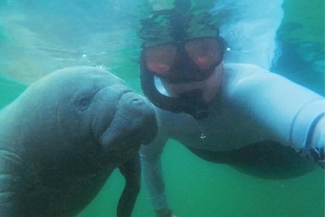 Private Manatee Swim Crystal River FL 6 Passenger Max Free Photos - The Start Point at Pete’s Pier Marina in Crystal River