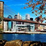 Private Manhattan and Brooklyn Full-Day Tour with Driver-Guide and Vehicle - Highlights of Manhattan: Rockefeller Center and Central Park