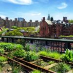 Private Meatpacking District, Chelsea Market, and The Highline Walking Tour - Meet Your Guide Near Chelsea Market in NYC