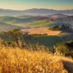 Private Montalcino and Pienza Tour from Siena - Visiting Montalcino’s Hilltop Charm and Wine Cellars