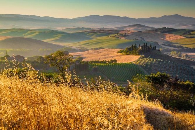 Private Montalcino and Pienza Tour from Siena - Visiting Montalcino’s Hilltop Charm and Wine Cellars