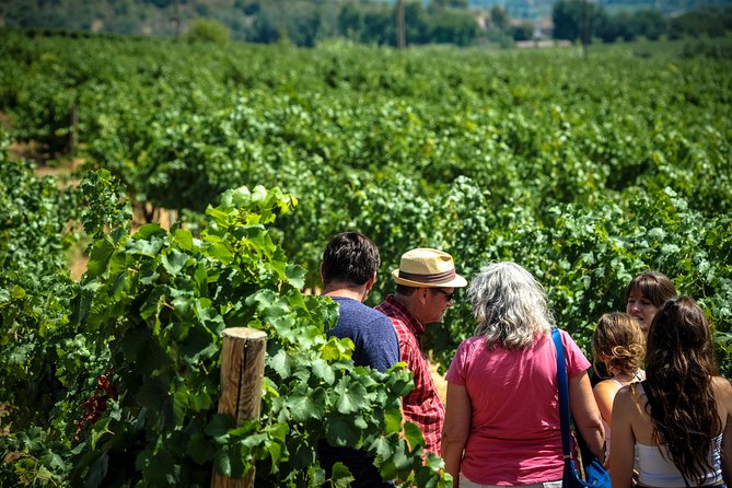 Private Montserrat with Wine Tasting Full Day Trip from Barcelona - Scenic Rides and Panoramic Views at Montserrat