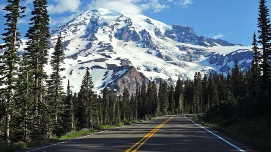 Private Mount Rainier tour from Portland - Flexibility with Pick-Up Points and Times