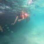 Private MUSA Snorkeling Experience at Isla Mujeres and Cancun - Snorkeling Equipment and Refreshments Included