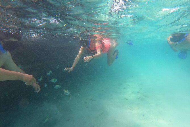 Private MUSA Snorkeling Experience at Isla Mujeres and Cancun - Snorkeling Equipment and Refreshments Included