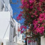 Private Mykonos Town Walking Tour And Islands Highlights - Visiting the Lighthouse of Mykonos for Breathtaking Vistas