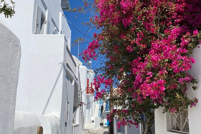 Private Mykonos Town Walking Tour And Islands Highlights - Visiting the Lighthouse of Mykonos for Breathtaking Vistas