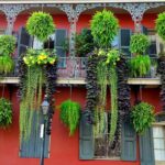 Private New Orleans City Tour with Local Expert Guide - Practical Details and Logistics