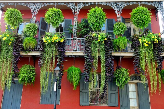 Private New Orleans City Tour with Local Expert Guide - Practical Details and Logistics