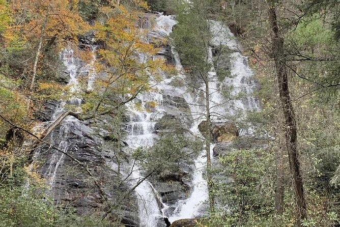 Private North Georgia Waterfall Tour and Scenic Hikes - Exploring Georgia’s Tallest Waterfall at Amicalola State Park
