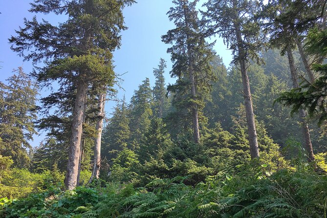 Private Northern Oregon Coast Tour - Starting Point at the Port of Portland