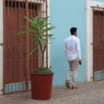 Private Oaxaca Walking Tour with Mezcal Tasting - Visiting Oaxaca’s Historic and Artistic Landmarks