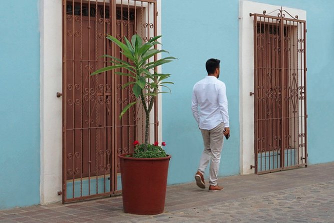 Private Oaxaca Walking Tour with Mezcal Tasting - Visiting Oaxaca’s Historic and Artistic Landmarks