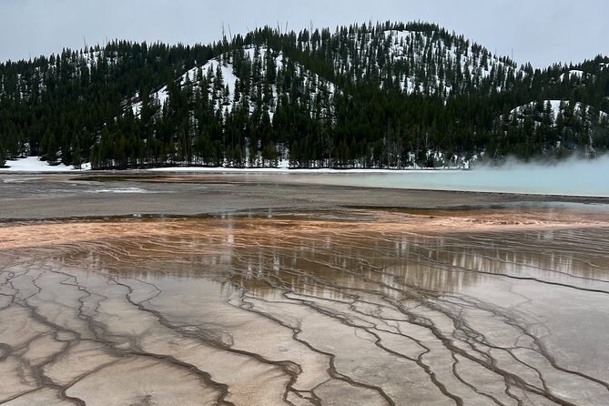 Private Old Faithful, Grand Prismatic, & Canyon Safari - Yellowstones Geothermal Wonders Up Close