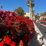 Private Old Town Golden Age Valencia Tour - Exterior Views of Valencia Cathedral and the Miguelete Tower