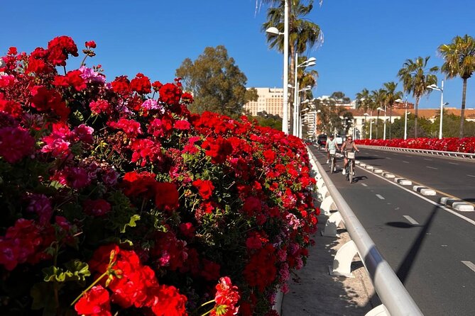 Private Old Town Golden Age Valencia Tour - Exterior Views of Valencia Cathedral and the Miguelete Tower