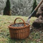 Private Olive Oil and Wine Tasting in Kurilo, Montenegro - An Authentic Montenegrin Tasting Experience in Kurilo