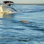 Private ONLY Dolphin Boat Tours - Wildlife Encounters: Dolphins and Flamingos