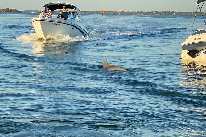 Private ONLY Dolphin Boat Tours - Wildlife Encounters: Dolphins and Flamingos