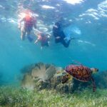 Private (only you) Reef Snorkeling in Puerto Morelos 2x40 minutes - Convenient Pickup and Location in Cancun
