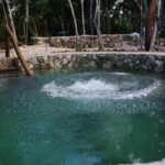 Private or Small-Group Temazcal Maya Ritual from Playa del Carmen - What the Temazcal Ritual Entails