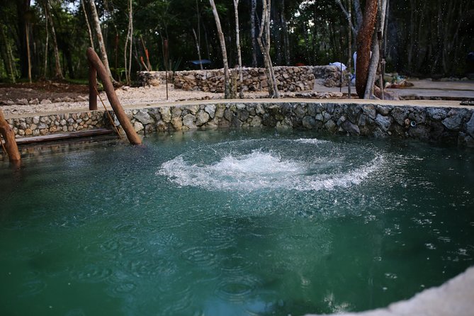 Private or Small-Group Temazcal Maya Ritual from Playa del Carmen - What the Temazcal Ritual Entails