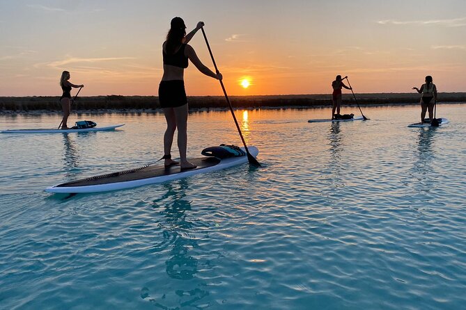 Private Paddleboard Experience in Bacalar - Exploring Bacalar’s Iconic Stops: Bird Island, Cenotes, and More