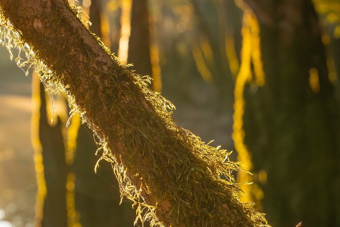 Private Panama City Beach Photo Excursion - Discover Scenic Stops Along the Tour