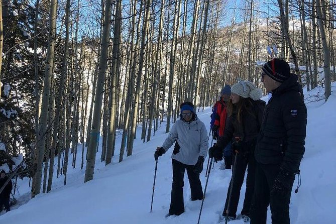 Private Park City Snowshoe Excursions (9:30am/12:30pm start time) - Convenient Pickup and Drop-off from Park City Hotels