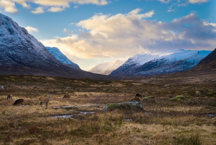 Private Photography Tour in Edinburgh - The Benefits of a Private Photography Experience in Edinburgh