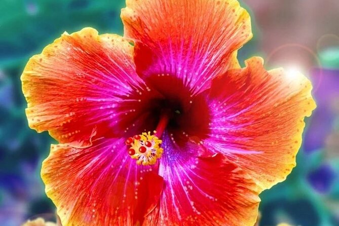 Private Picnic Activity in The Ulua Lagoon in Oahu - The Luxury Picnic Setup and Decor