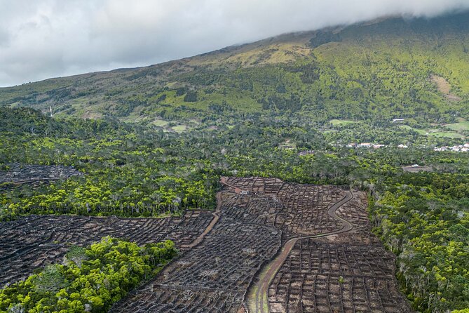 Private Pico Wine Tour (Half Day) - Wine Tasting at Bandeiras with Ocean Views