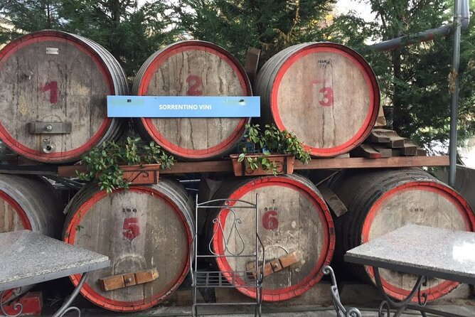 Private Pompeii and Herculaneum Day Tour with Pick Up - Herculaneum’s Smaller but Better Preserved Site