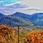 Private Prosecco Tour, with a certified Sommelier - Exploring Valdobbiadene, Italy’s Prosecco Capital