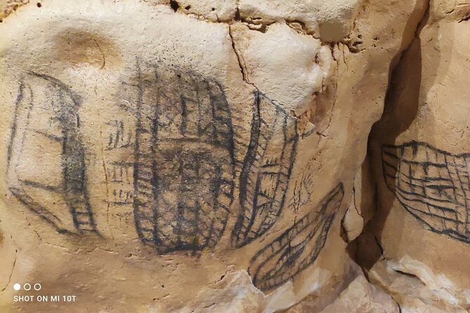 Private Puente Viesgo Caves Full-Day Tour from Santander - The Altamira Museum and the Neocave Replica