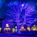 Private Reykjavik Christmas Walking Tour - Discovering Skúli the Sheriff at Fógetagarðurinn