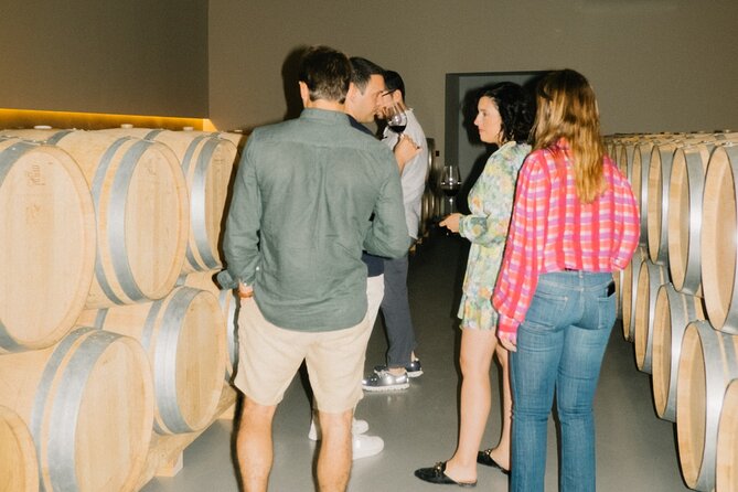 Private Rioja Wine Tour of Vines and Wines in Spain - Walking Through Vineyards at San Vicente de la Sonsierra